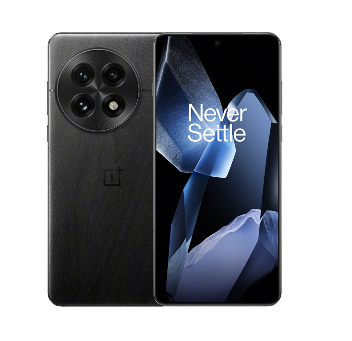 OnePlus 13 (Global)