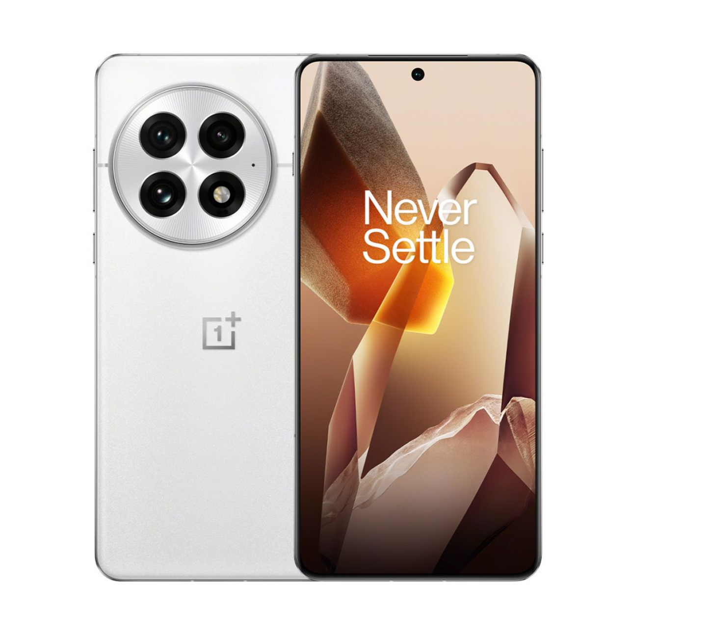 OnePlus 13 (Global)
