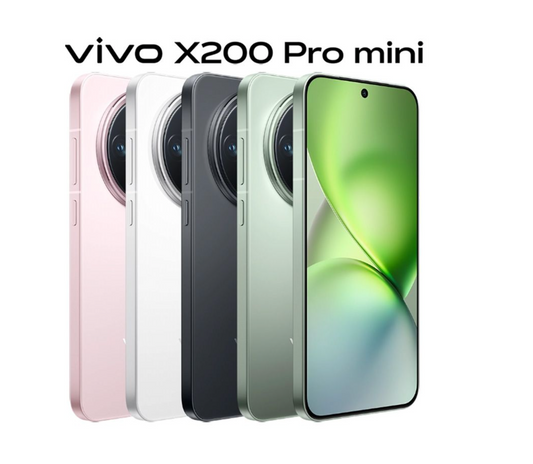 Vivo X200 Pro Mini