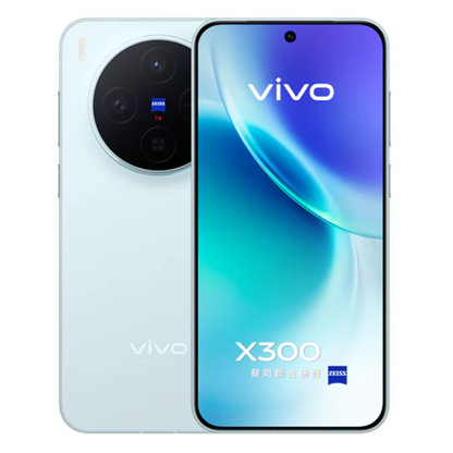 Vivo X300 (Global)